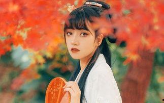 无心插柳爱成荫,一段意外的美好邂逅