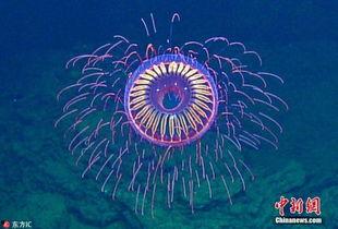 黑暗的反射,探索黑暗中的光明面