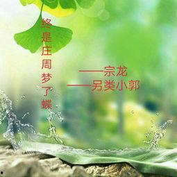 终是庄周梦了蝶,探寻梦境与现实交织的哲学之旅